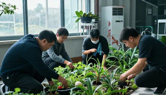 园林绿化技术培训课程中的检查要点及应用场景分析
